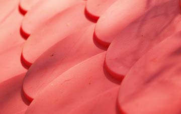 Queen Adelaide plastic roof costs