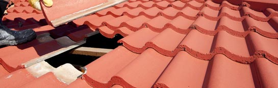 compare Queen Adelaide roof repair quotes