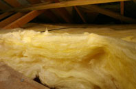 Queen Adelaide pitch roof insulation